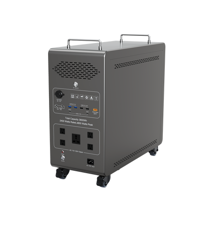 Dory Sentry PLUS